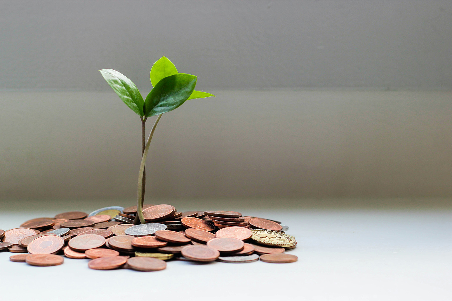 Bulk Buying for Businesses: How to Cut Costs Without Sacrificing Quality